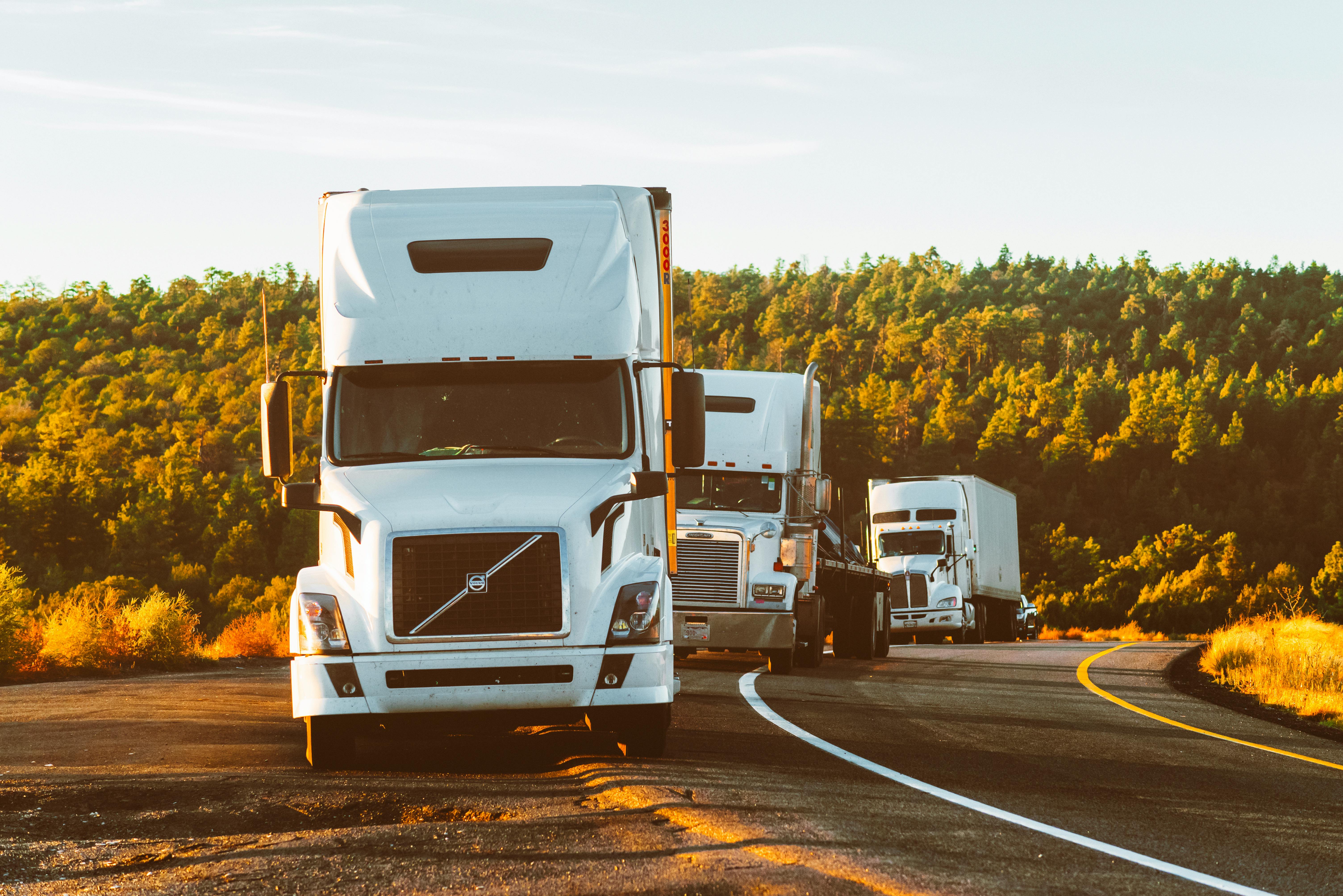 Punya Transport Corporation - Logistics and transport solutions